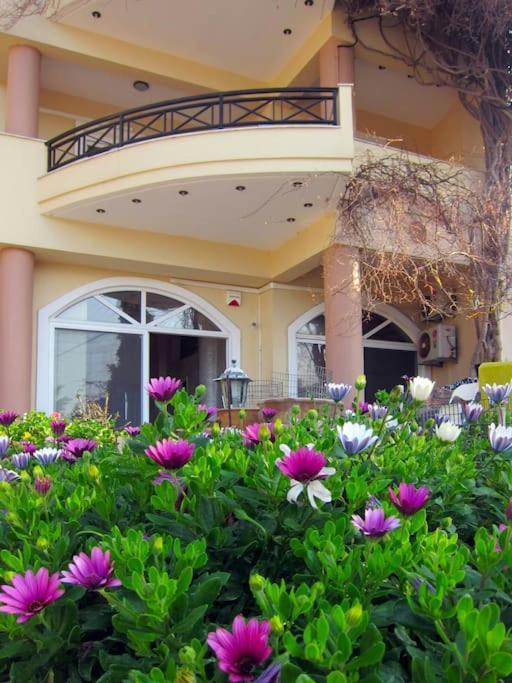 Lenico Beachfront Suites Agia Pelagia  Buitenkant foto