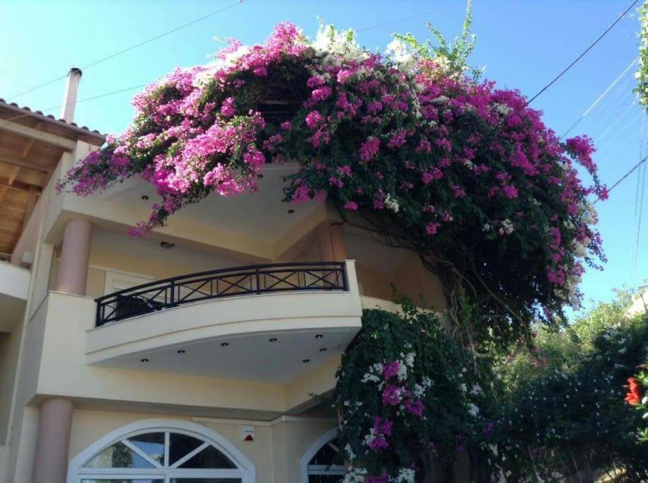 Lenico Beachfront Suites Agia Pelagia  Buitenkant foto