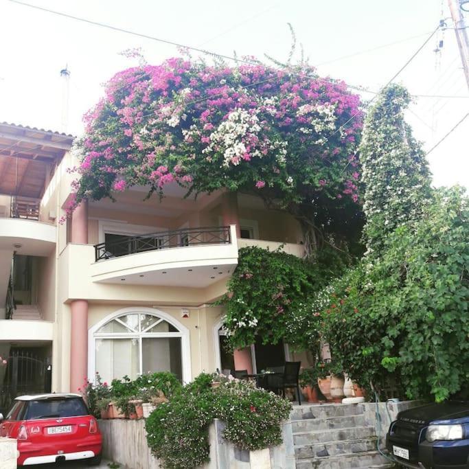 Lenico Beachfront Suites Agia Pelagia  Buitenkant foto