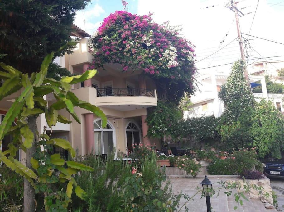 Lenico Beachfront Suites Agia Pelagia  Buitenkant foto
